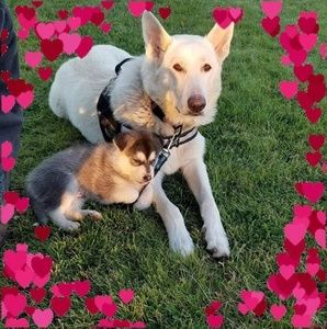 Meet your Posher, Becca